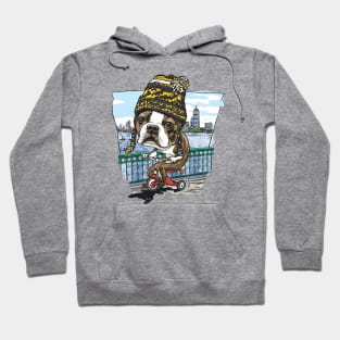 Boston Terrier Dog with Black and Yellow Winter Beanie Hoodie